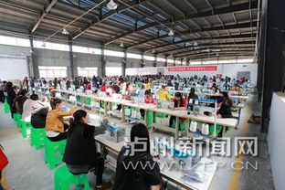 瀘州古藺玩具與紡織品 出海德國，帶動(dòng)就業(yè)新篇章